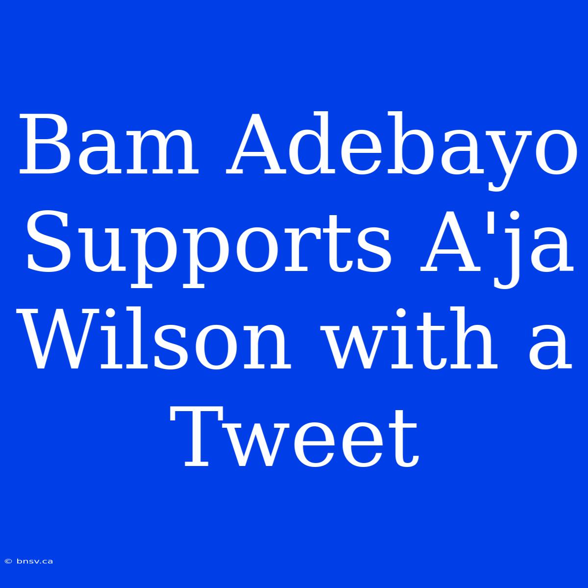 Bam Adebayo Supports A'ja Wilson With A Tweet