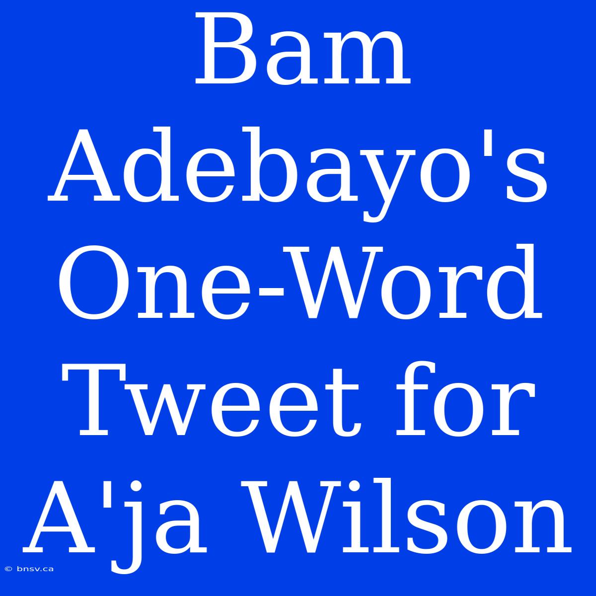 Bam Adebayo's One-Word Tweet For A'ja Wilson