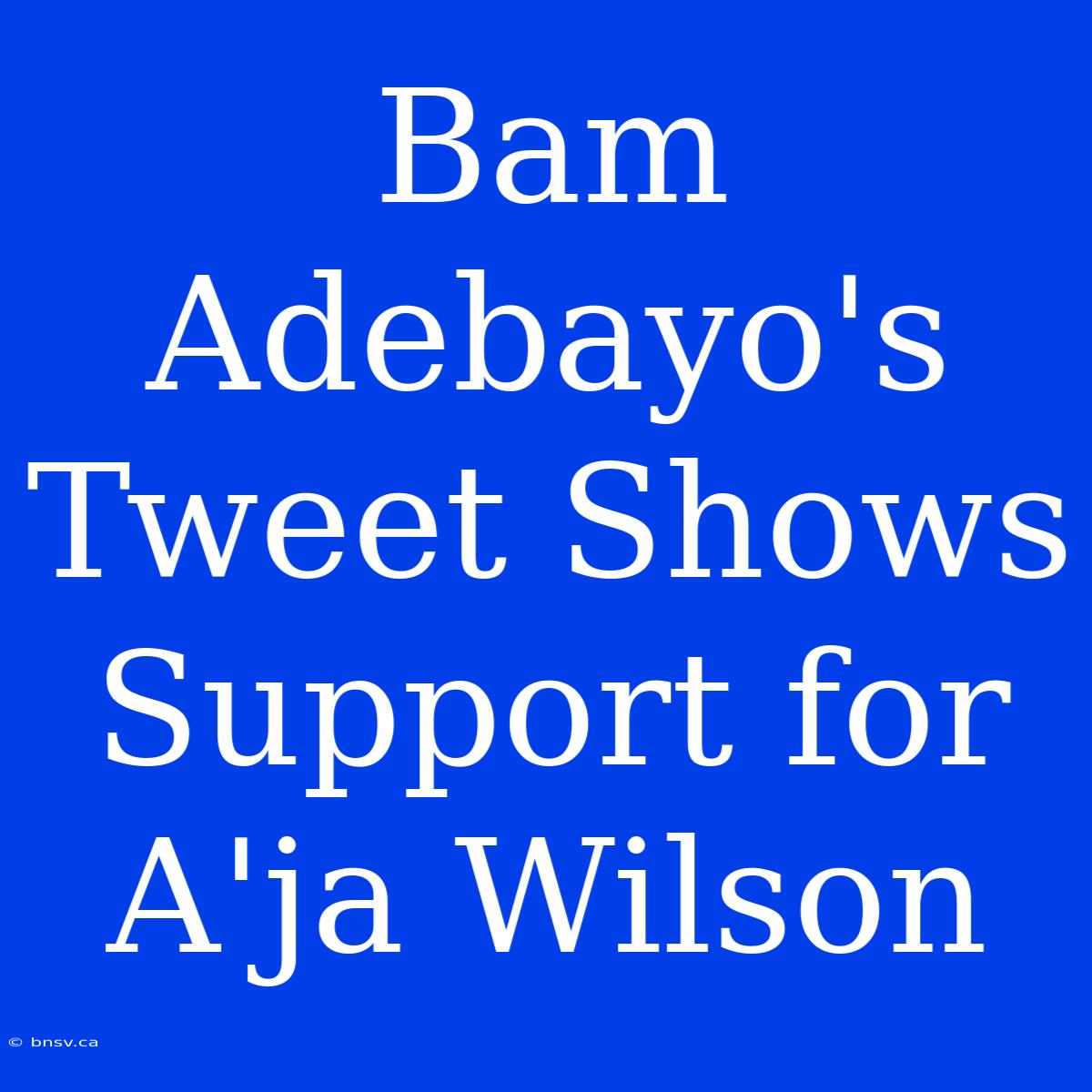 Bam Adebayo's Tweet Shows Support For A'ja Wilson