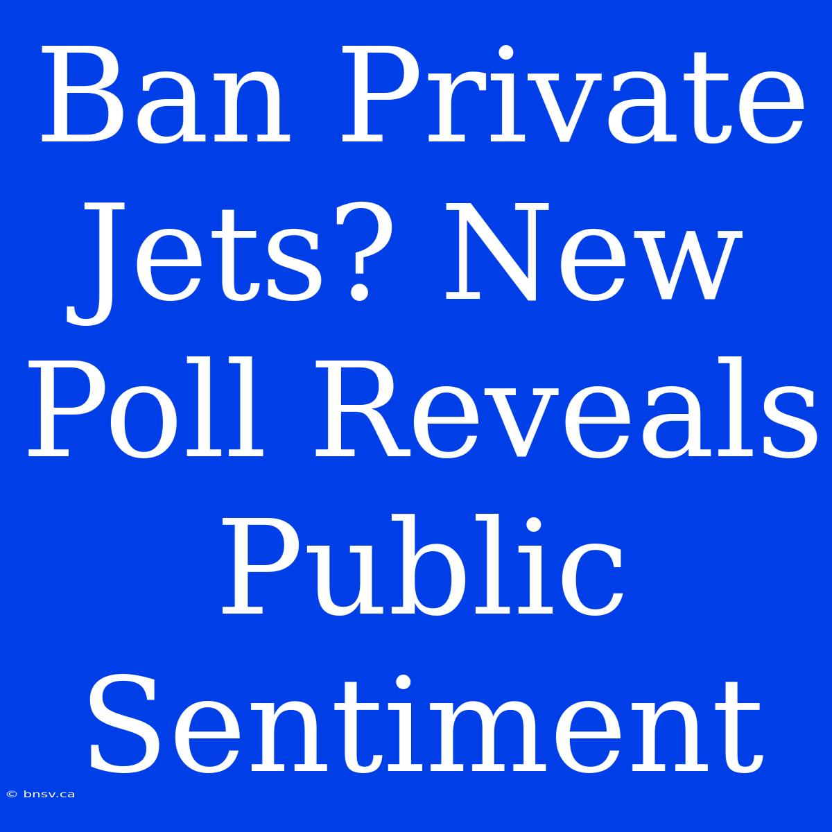 Ban Private Jets? New Poll Reveals Public Sentiment