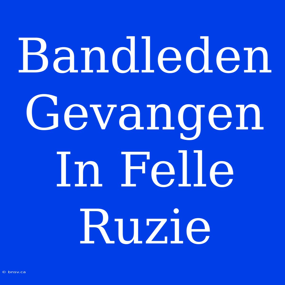 Bandleden Gevangen In Felle Ruzie