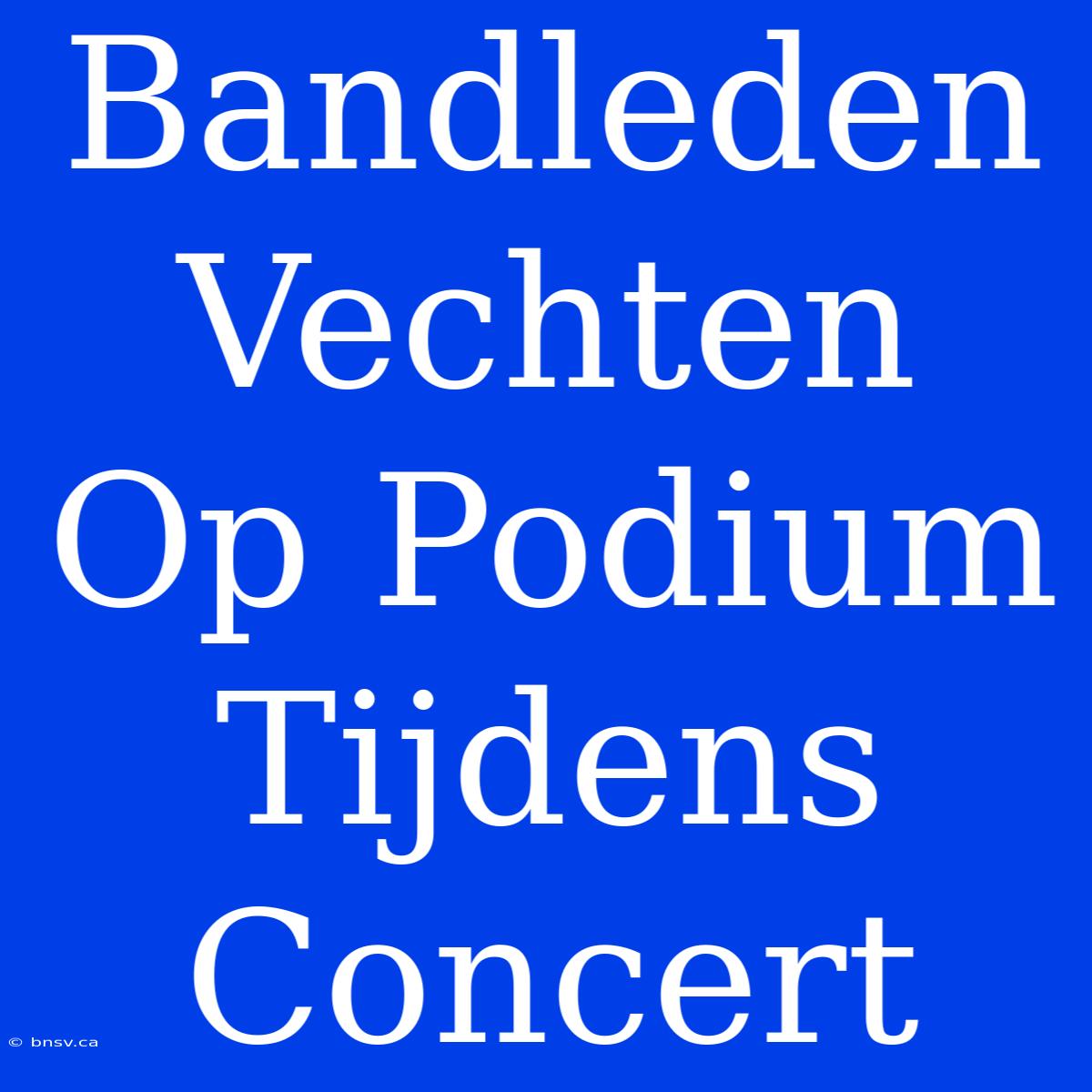 Bandleden Vechten Op Podium Tijdens Concert