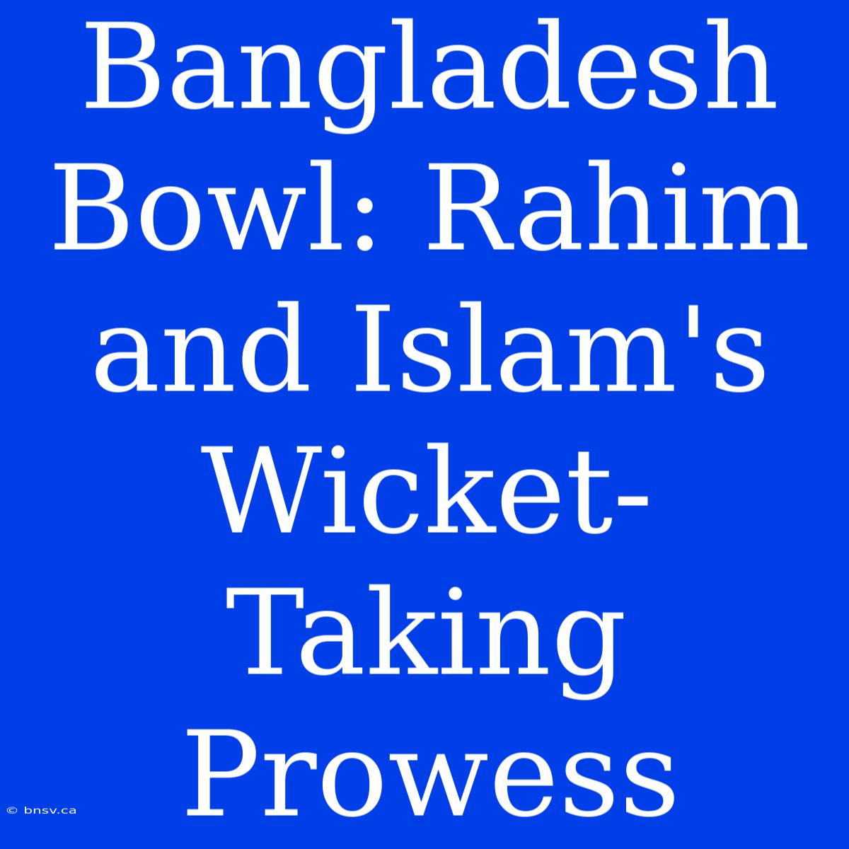 Bangladesh Bowl: Rahim And Islam's Wicket-Taking Prowess