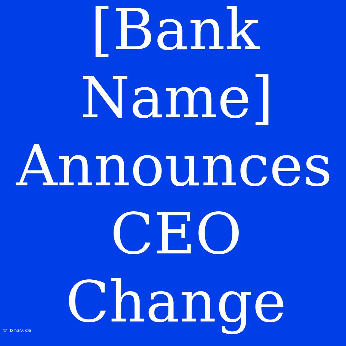 [Bank Name] Announces CEO Change