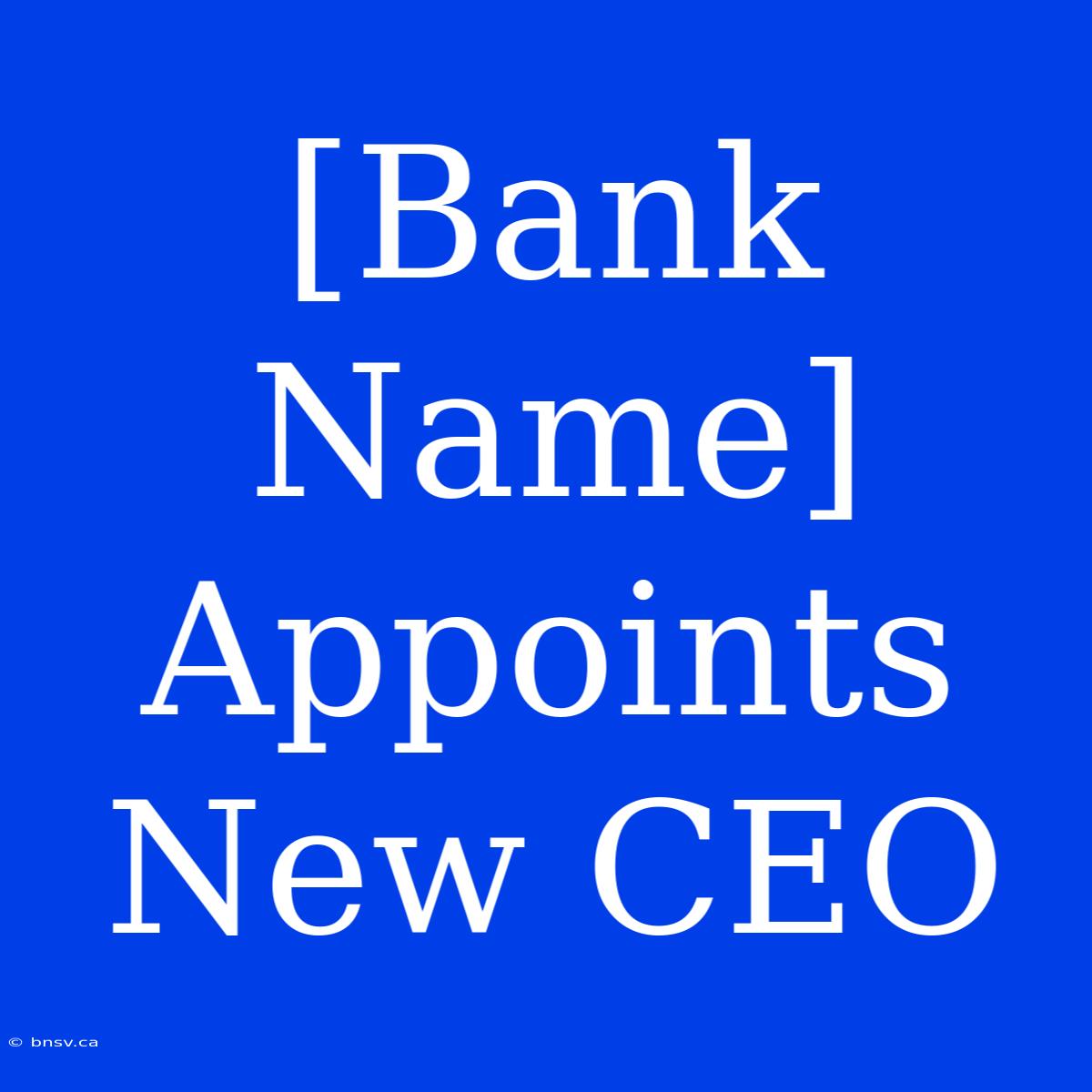 [Bank Name] Appoints New CEO