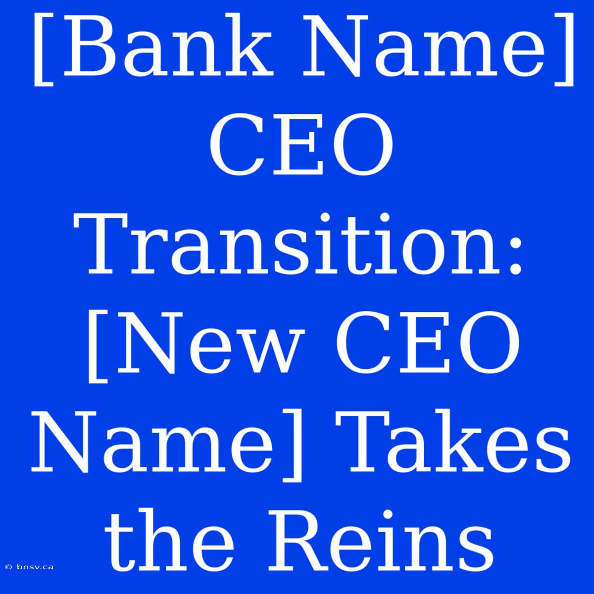 [Bank Name] CEO Transition: [New CEO Name] Takes The Reins