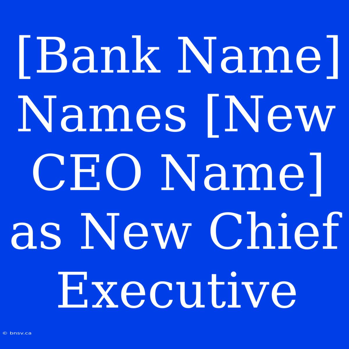 [Bank Name] Names [New CEO Name] As New Chief Executive