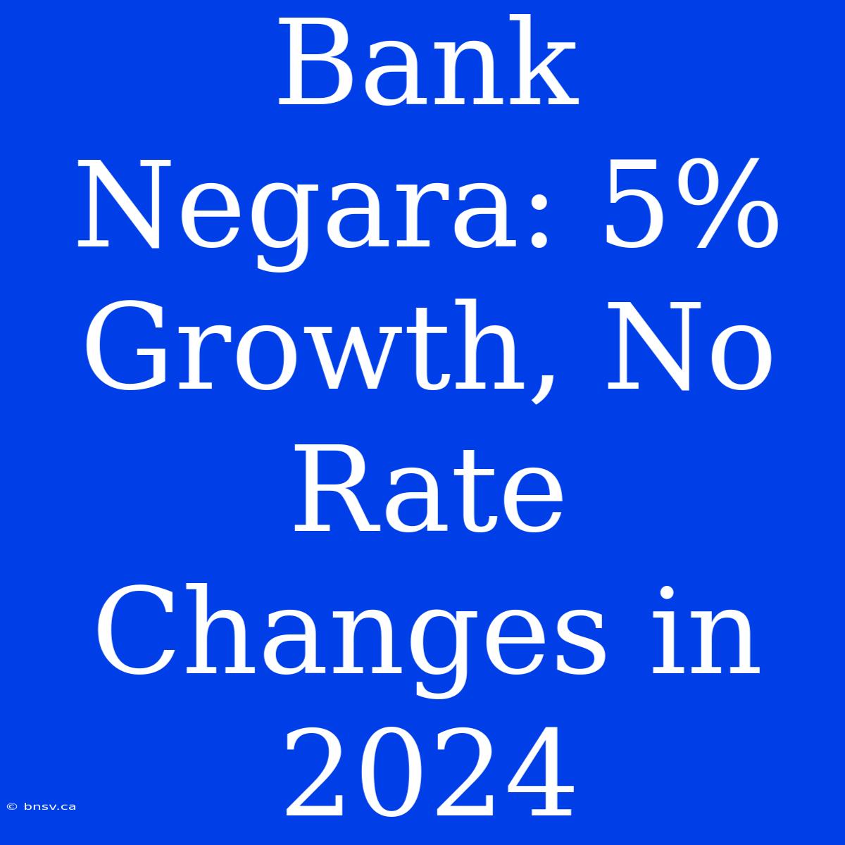 Bank Negara: 5% Growth, No Rate Changes In 2024