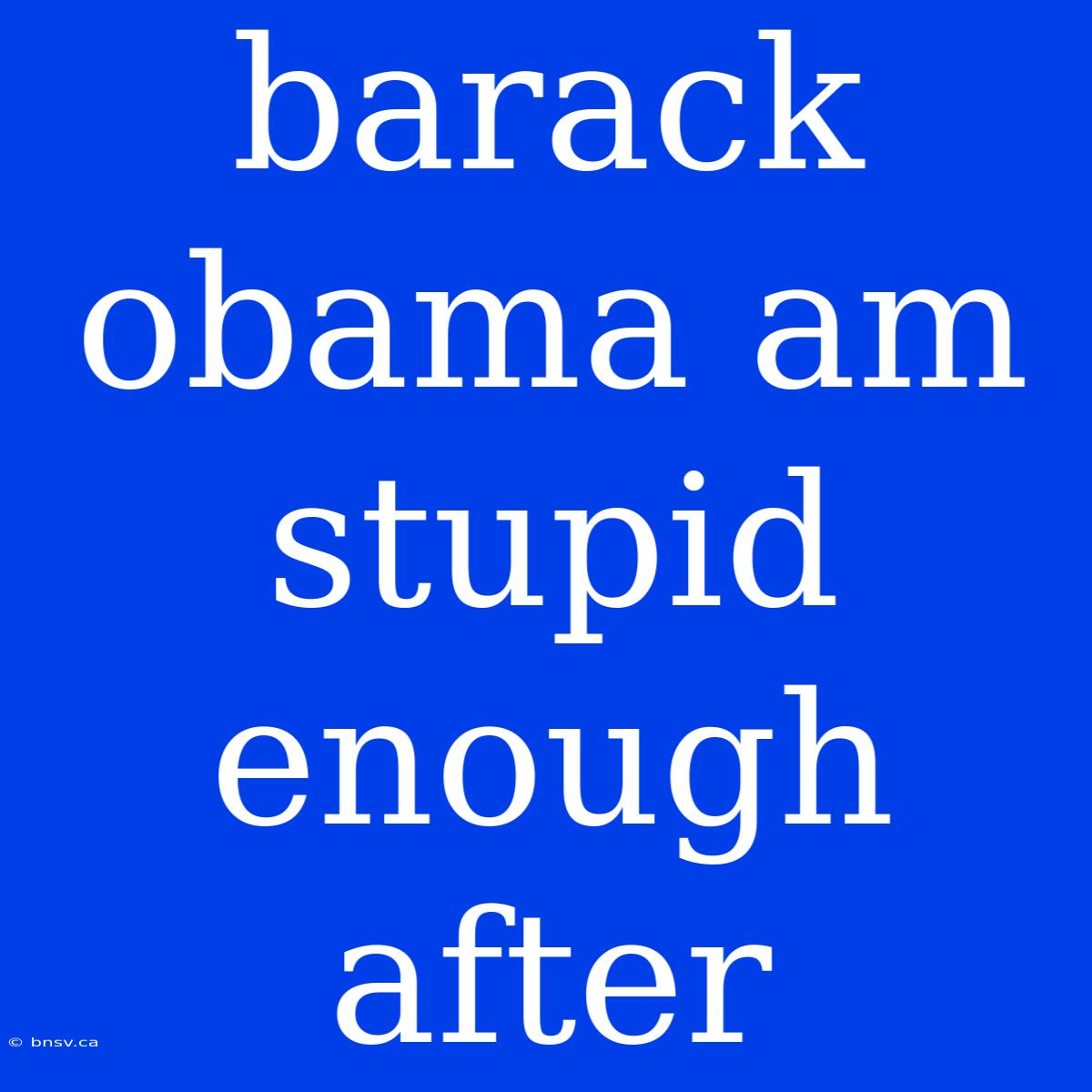 Barack Obama Am Stupid Enough After