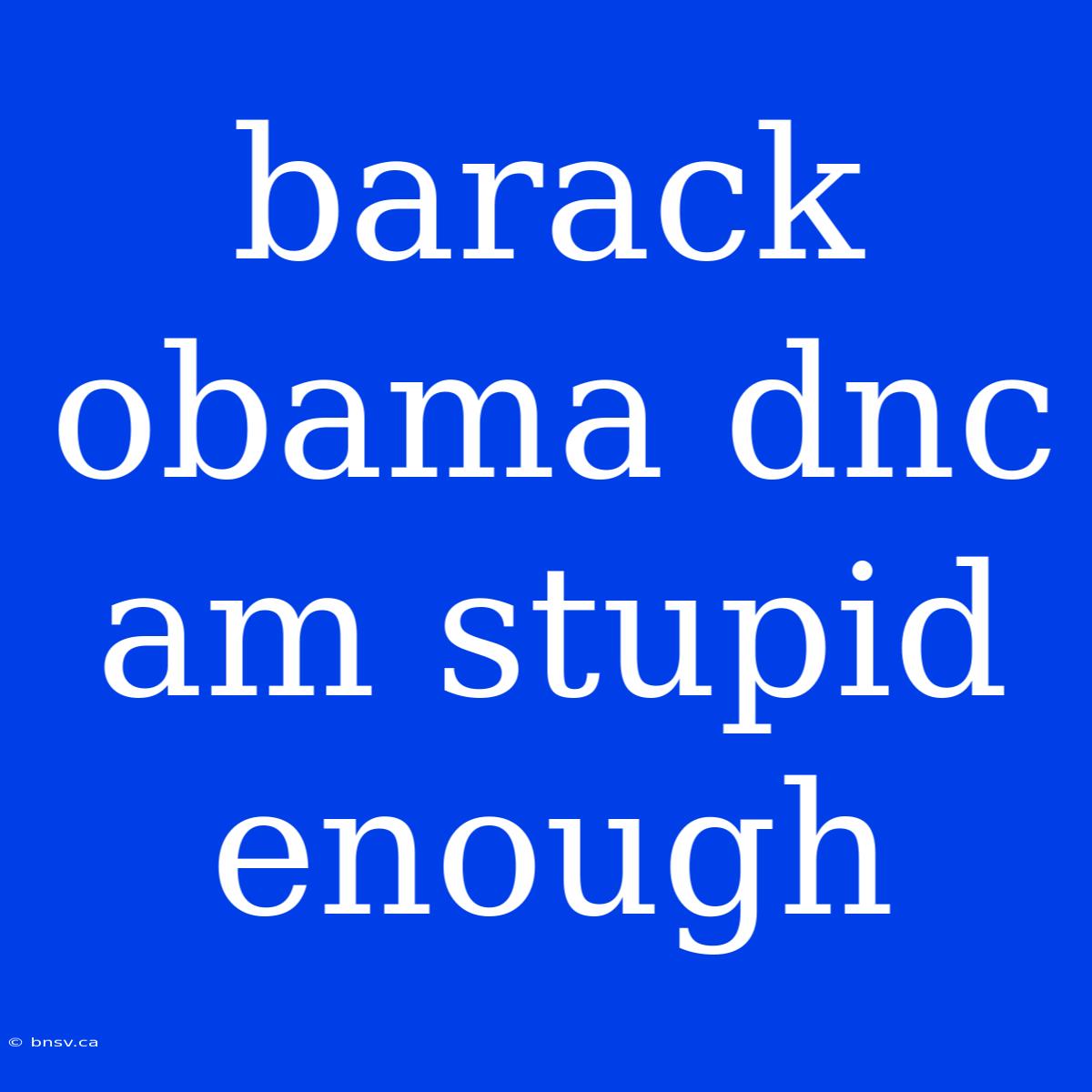 Barack Obama Dnc Am Stupid Enough