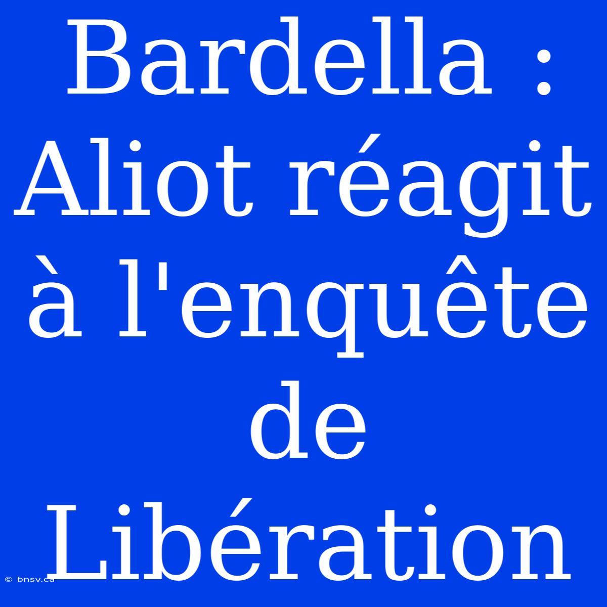 Bardella : Aliot Réagit À L'enquête De Libération