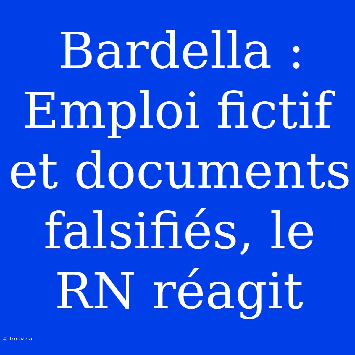 Bardella : Emploi Fictif Et Documents Falsifiés, Le RN Réagit