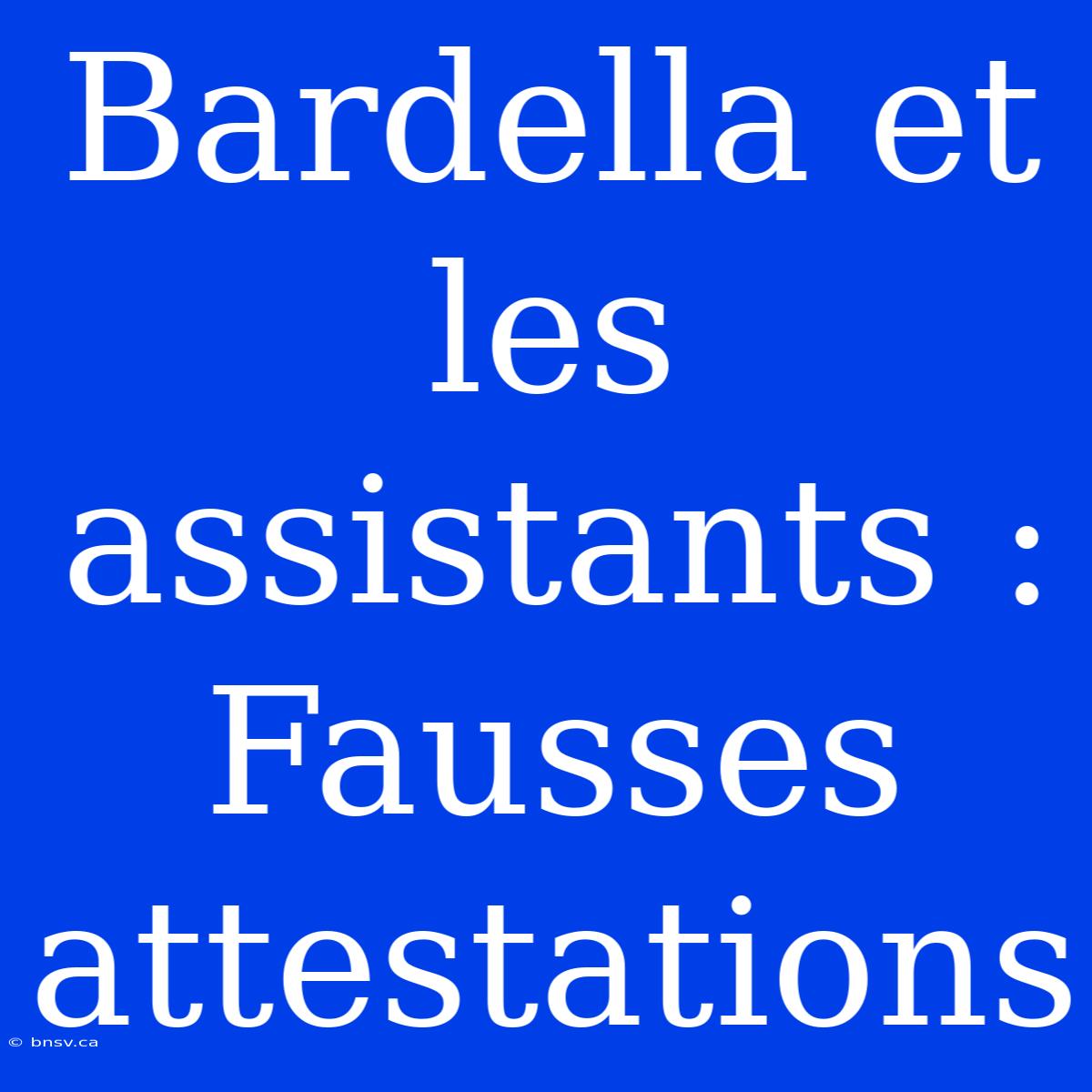 Bardella Et Les Assistants : Fausses Attestations