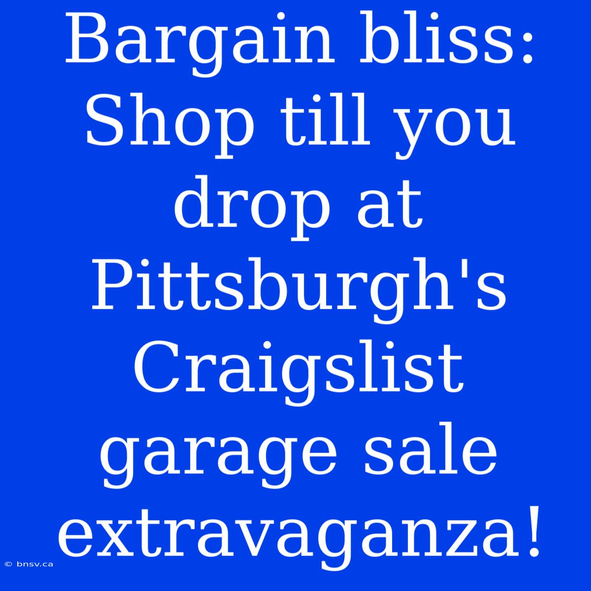 Bargain Bliss: Shop Till You Drop At Pittsburgh's Craigslist Garage Sale Extravaganza!