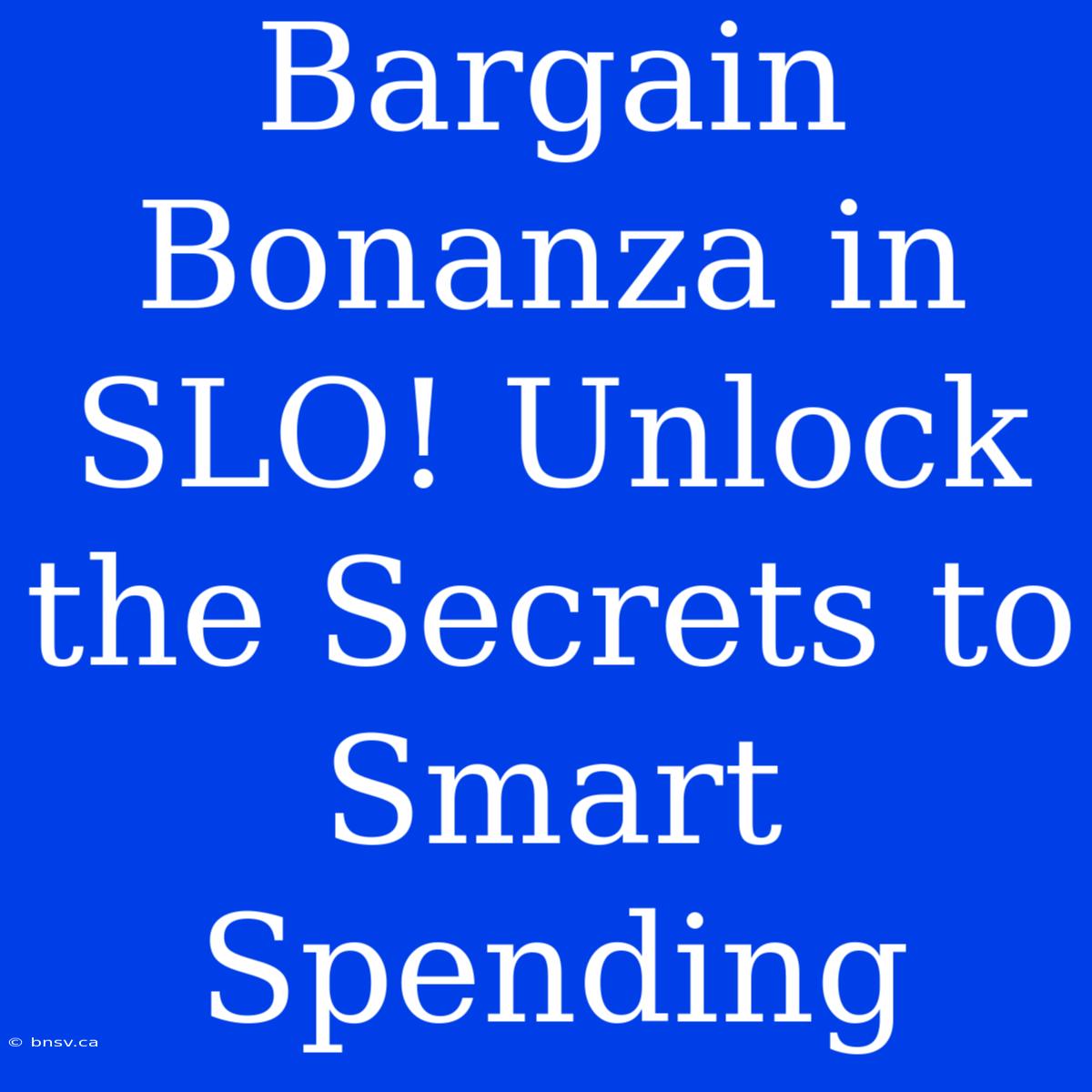 Bargain Bonanza In SLO! Unlock The Secrets To Smart Spending