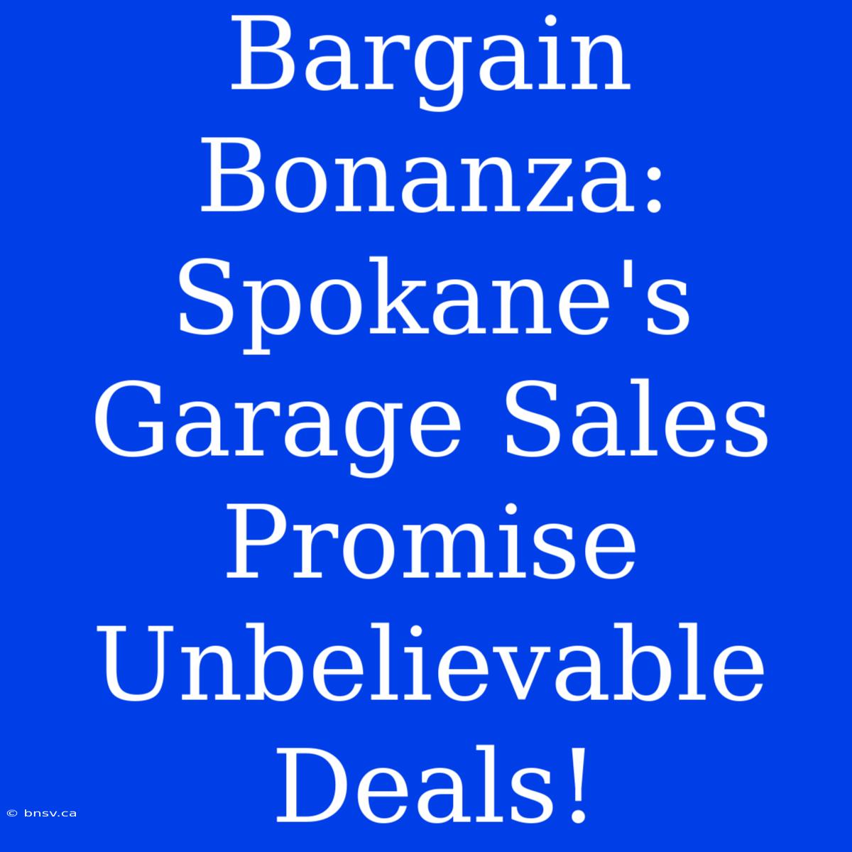 Bargain Bonanza: Spokane's Garage Sales Promise Unbelievable Deals!