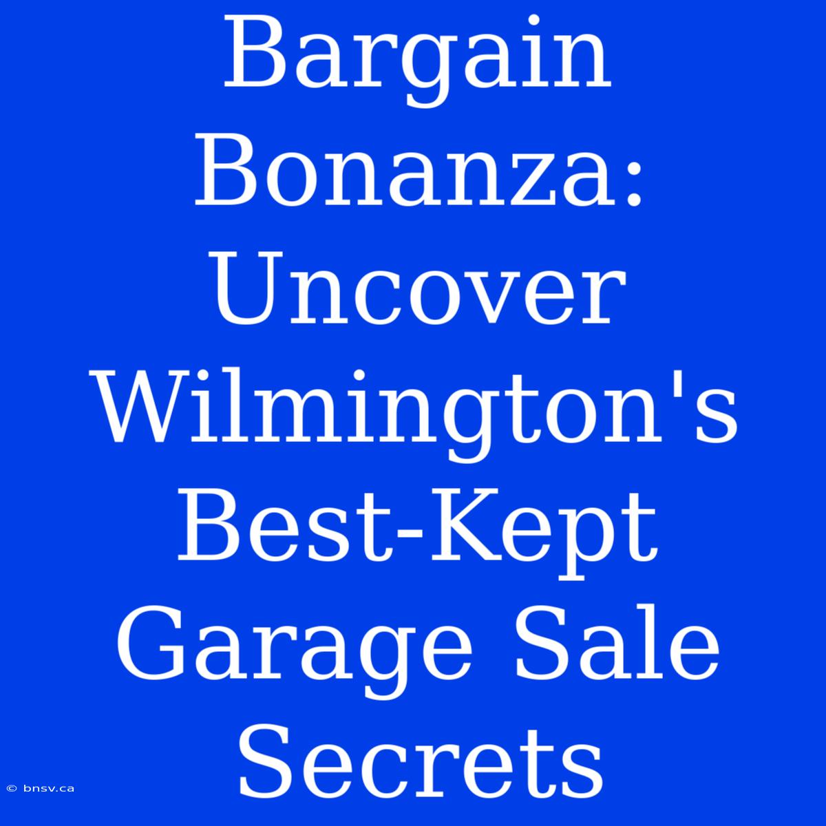 Bargain Bonanza: Uncover Wilmington's Best-Kept Garage Sale Secrets