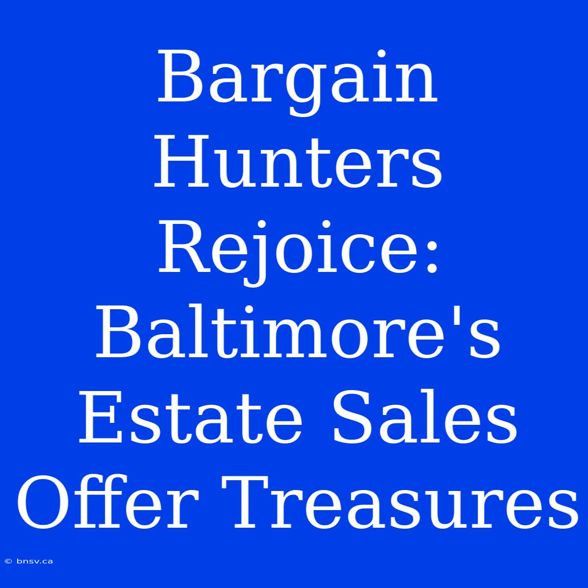 Bargain Hunters Rejoice: Baltimore's Estate Sales Offer Treasures