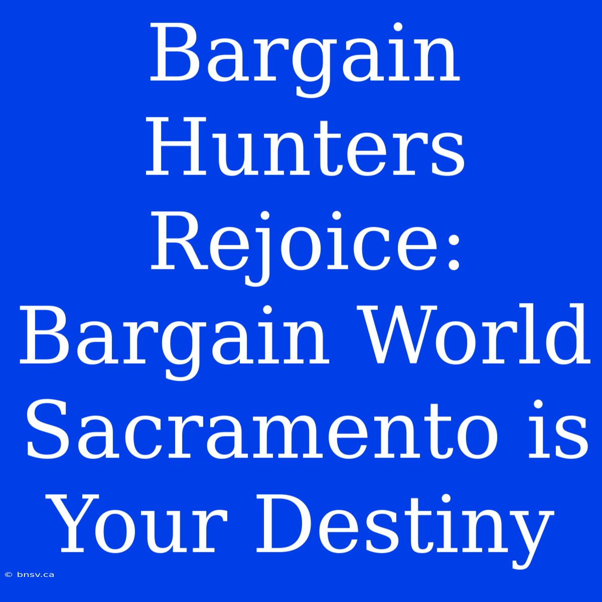 Bargain Hunters Rejoice: Bargain World Sacramento Is Your Destiny