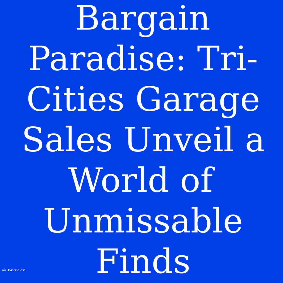 Bargain Paradise: Tri-Cities Garage Sales Unveil A World Of Unmissable Finds