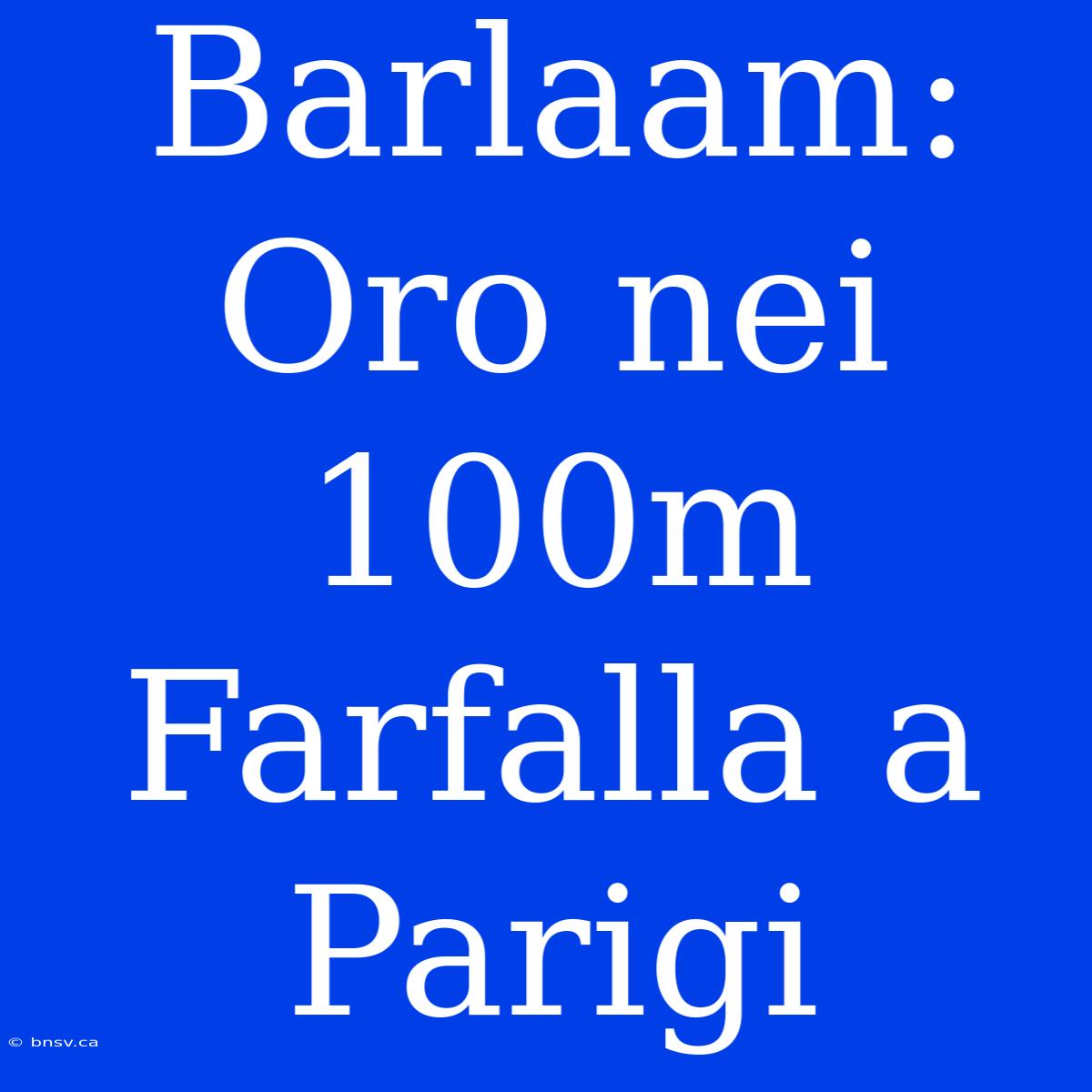 Barlaam: Oro Nei 100m Farfalla A Parigi