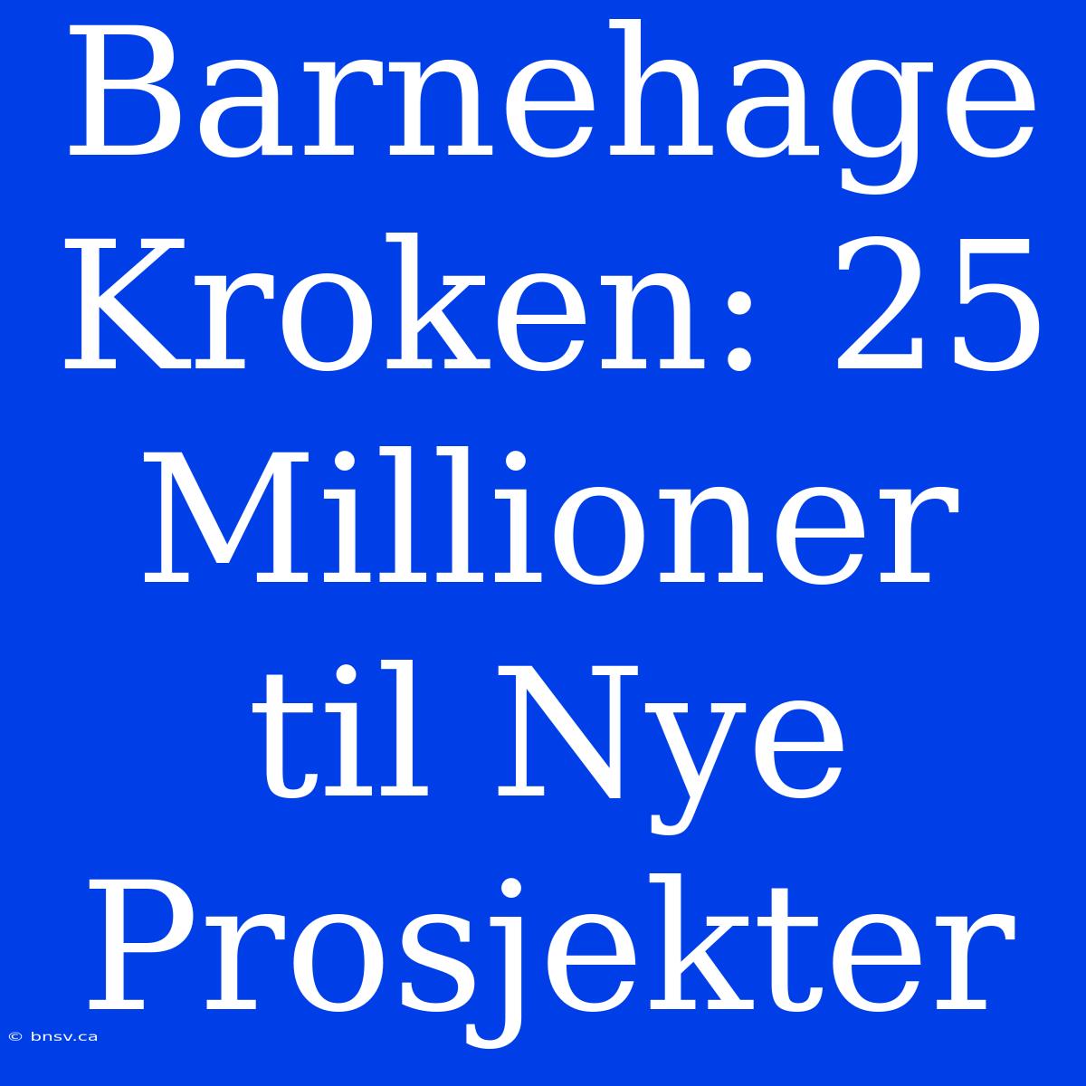 Barnehage Kroken: 25 Millioner Til Nye Prosjekter