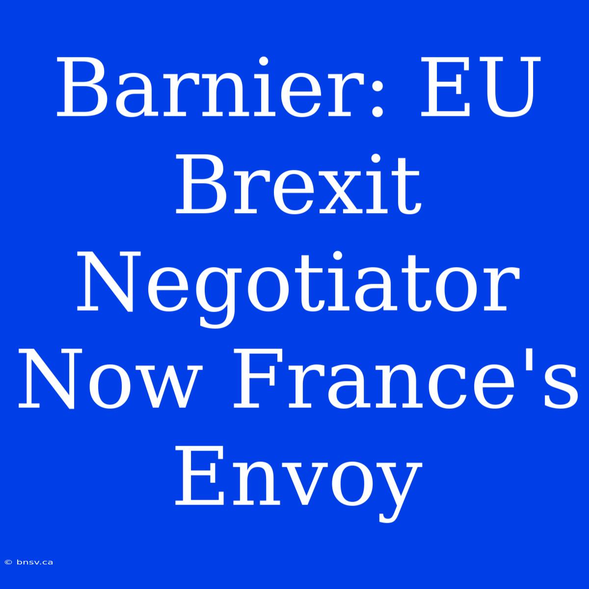 Barnier: EU Brexit Negotiator Now France's Envoy