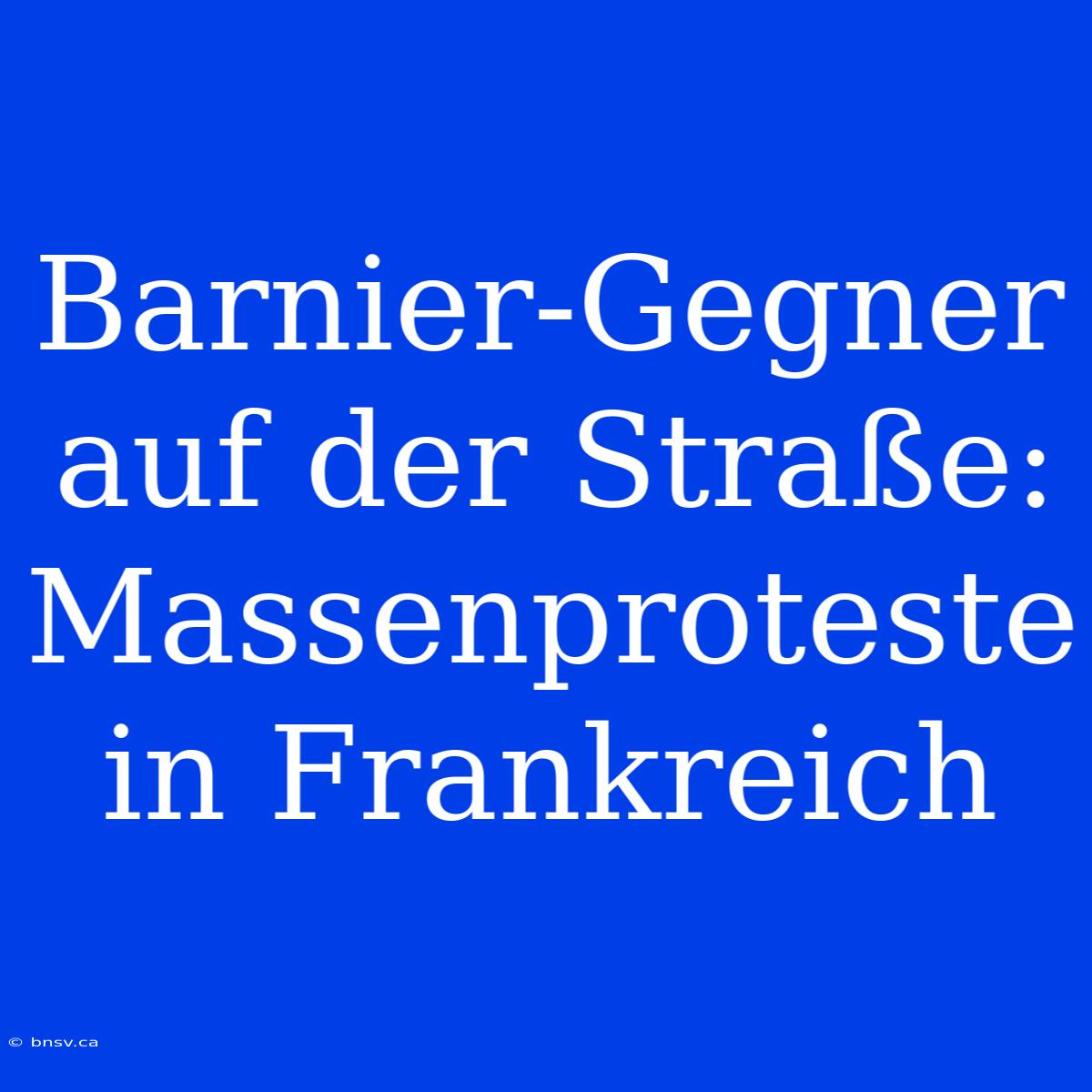 Barnier-Gegner Auf Der Straße: Massenproteste In Frankreich