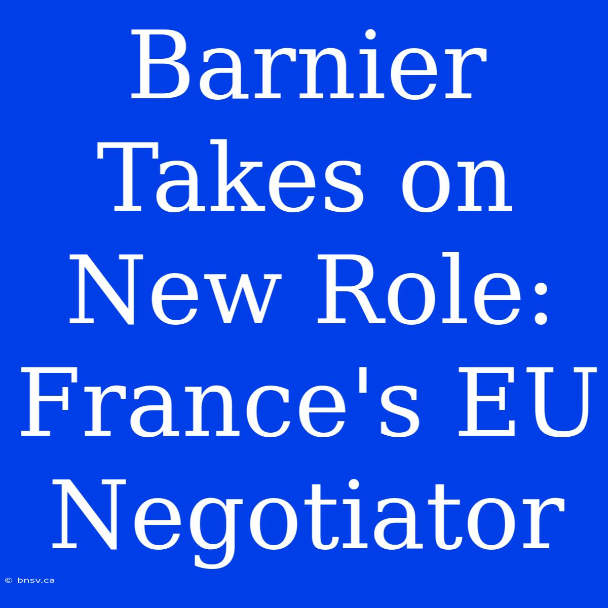 Barnier Takes On New Role: France's EU Negotiator