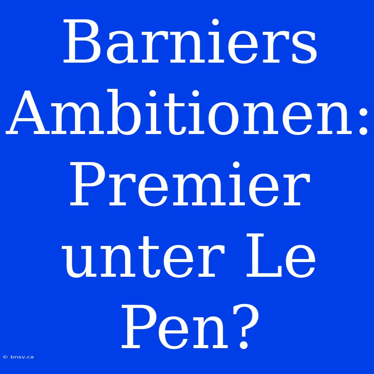 Barniers Ambitionen: Premier Unter Le Pen?