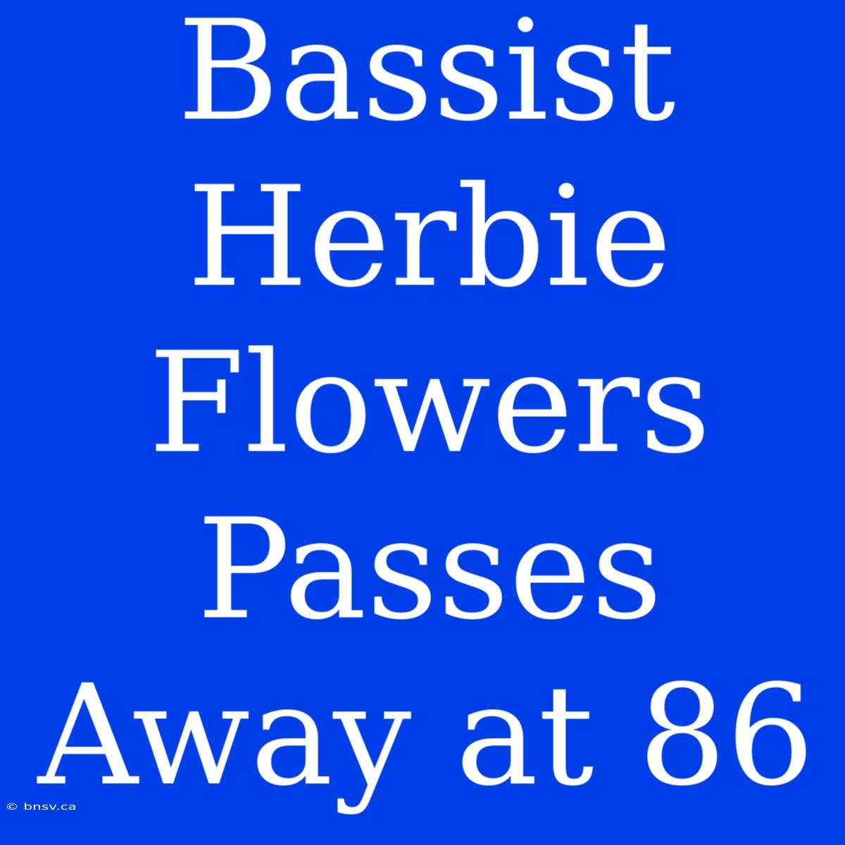 Bassist Herbie Flowers Passes Away At 86