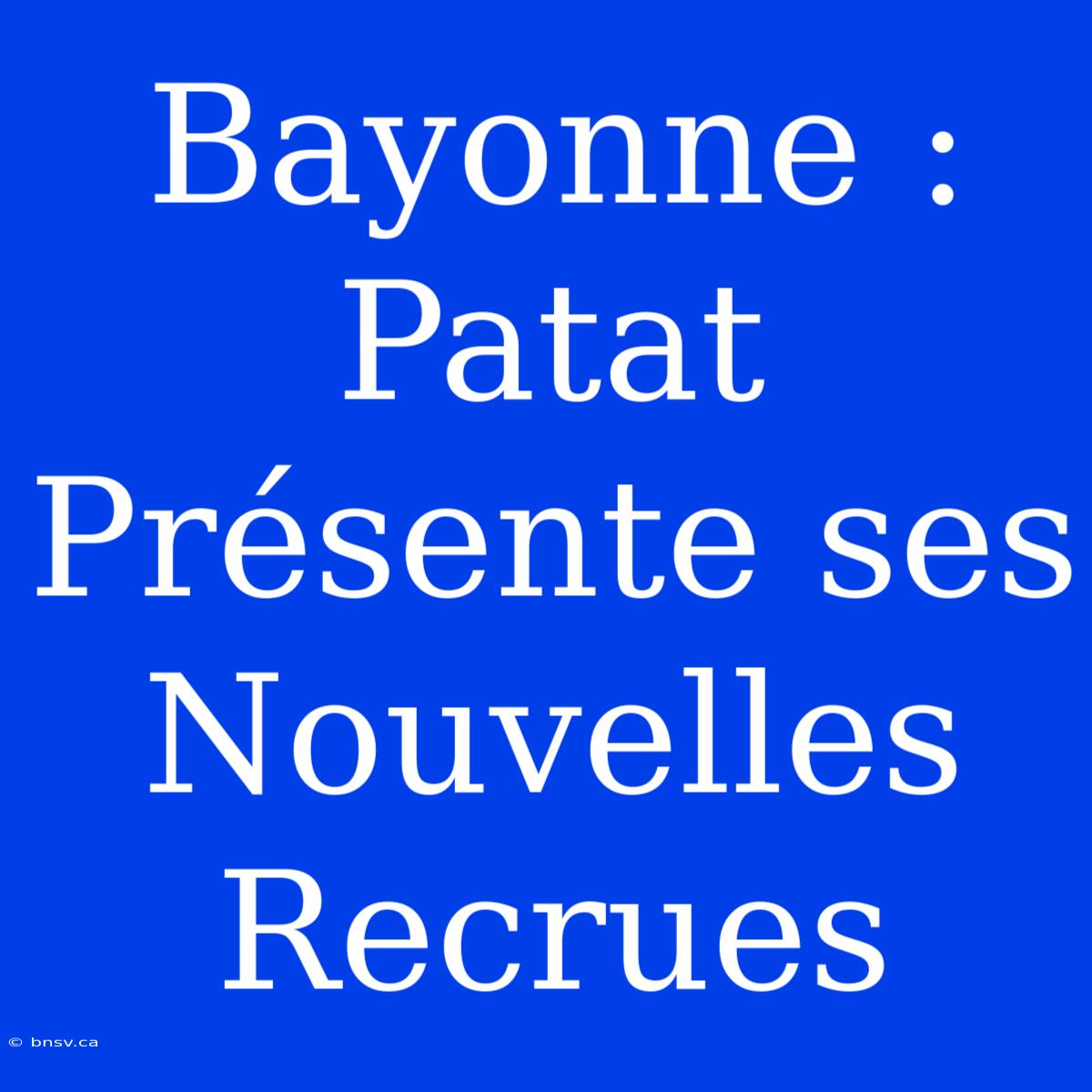 Bayonne : Patat Présente Ses Nouvelles Recrues