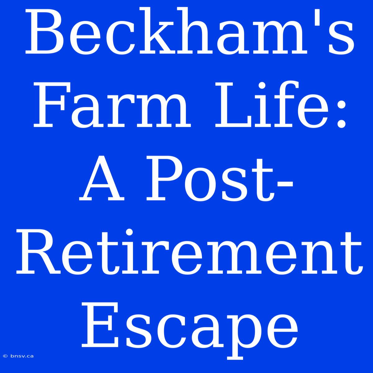 Beckham's Farm Life: A Post-Retirement Escape