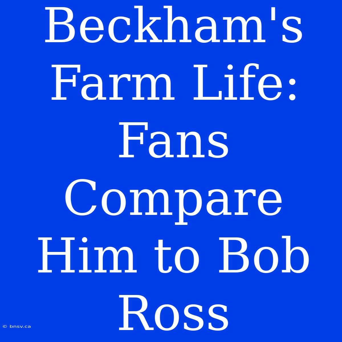 Beckham's Farm Life: Fans Compare Him To Bob Ross