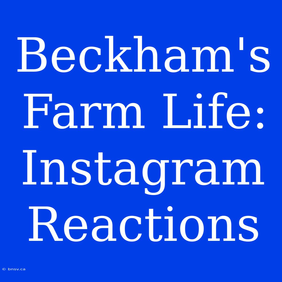 Beckham's Farm Life: Instagram Reactions