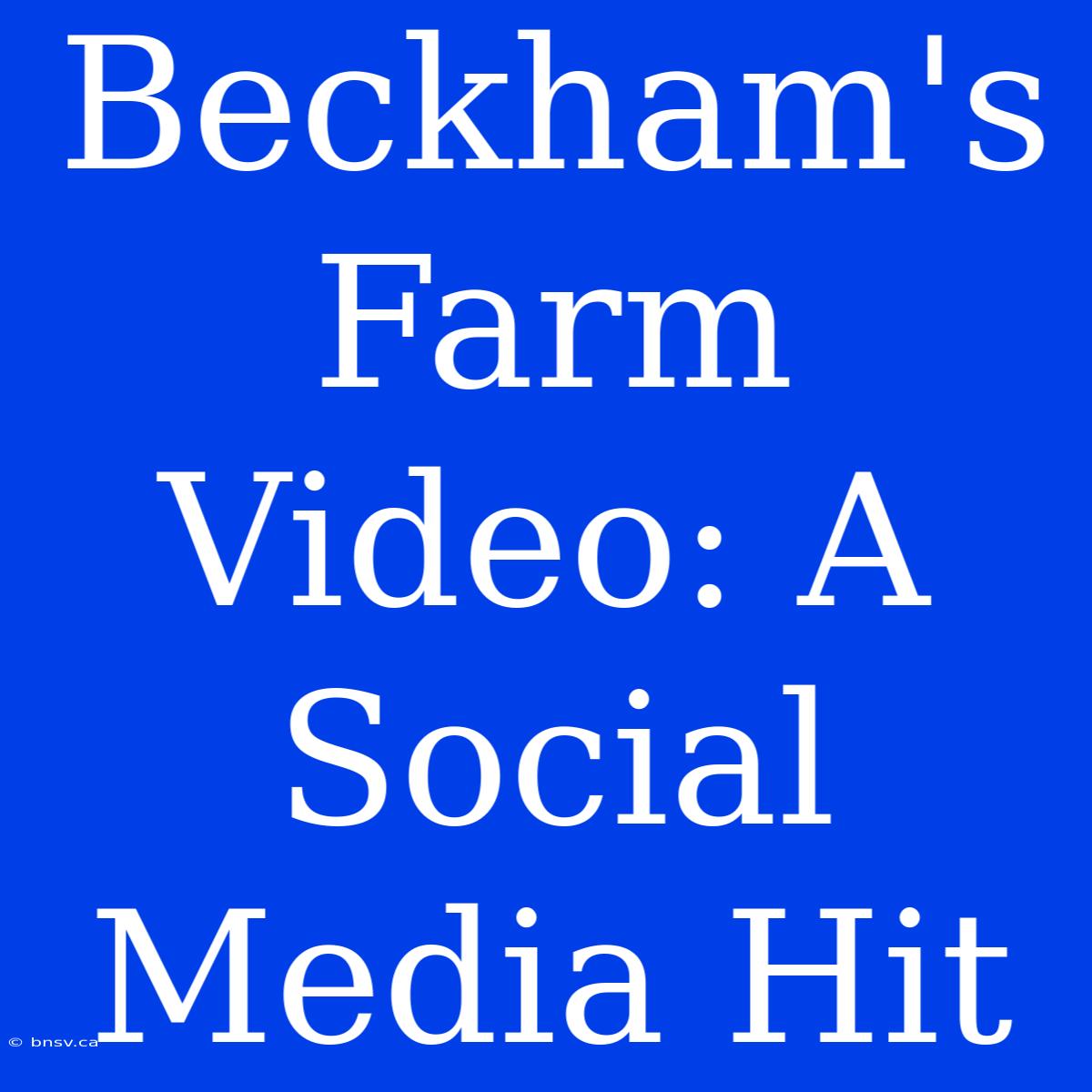 Beckham's Farm Video: A Social Media Hit