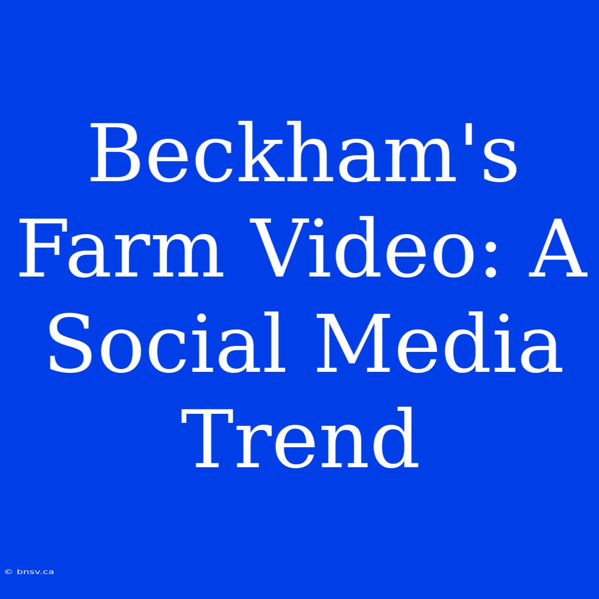 Beckham's Farm Video: A Social Media Trend