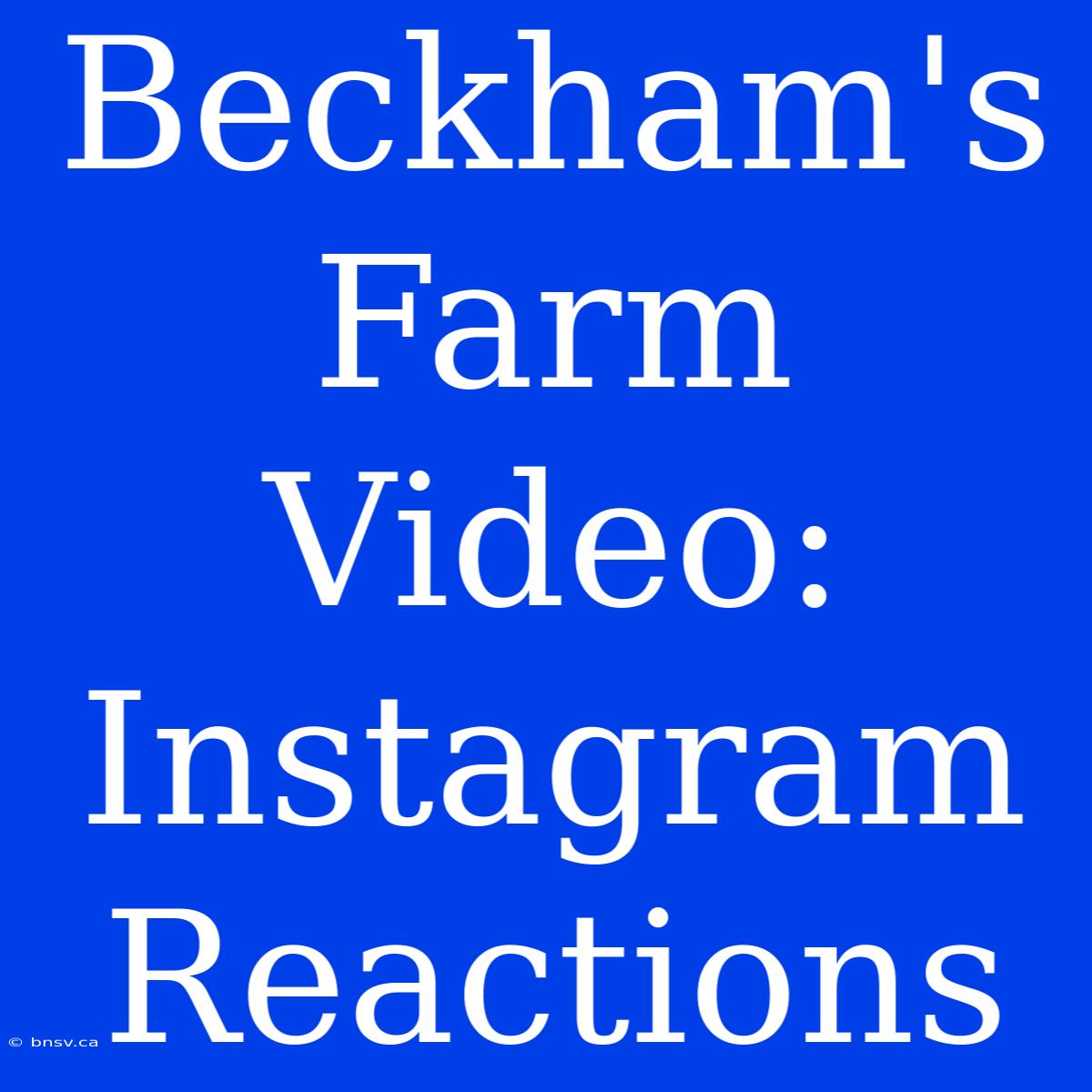 Beckham's Farm Video:  Instagram Reactions