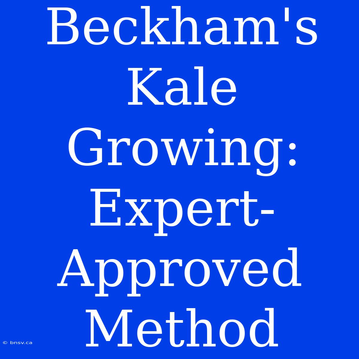 Beckham's Kale Growing: Expert-Approved Method