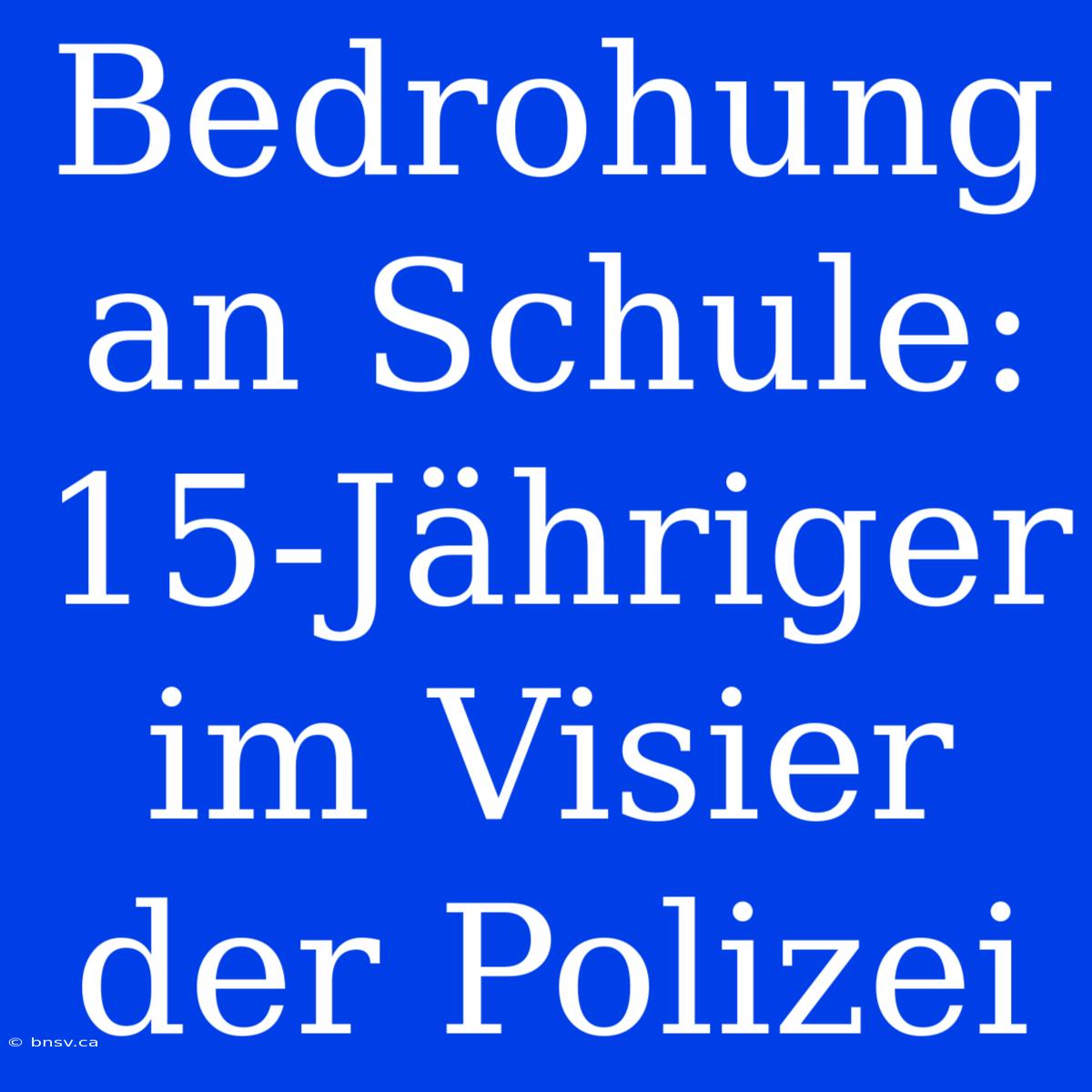 Bedrohung An Schule: 15-Jähriger Im Visier Der Polizei