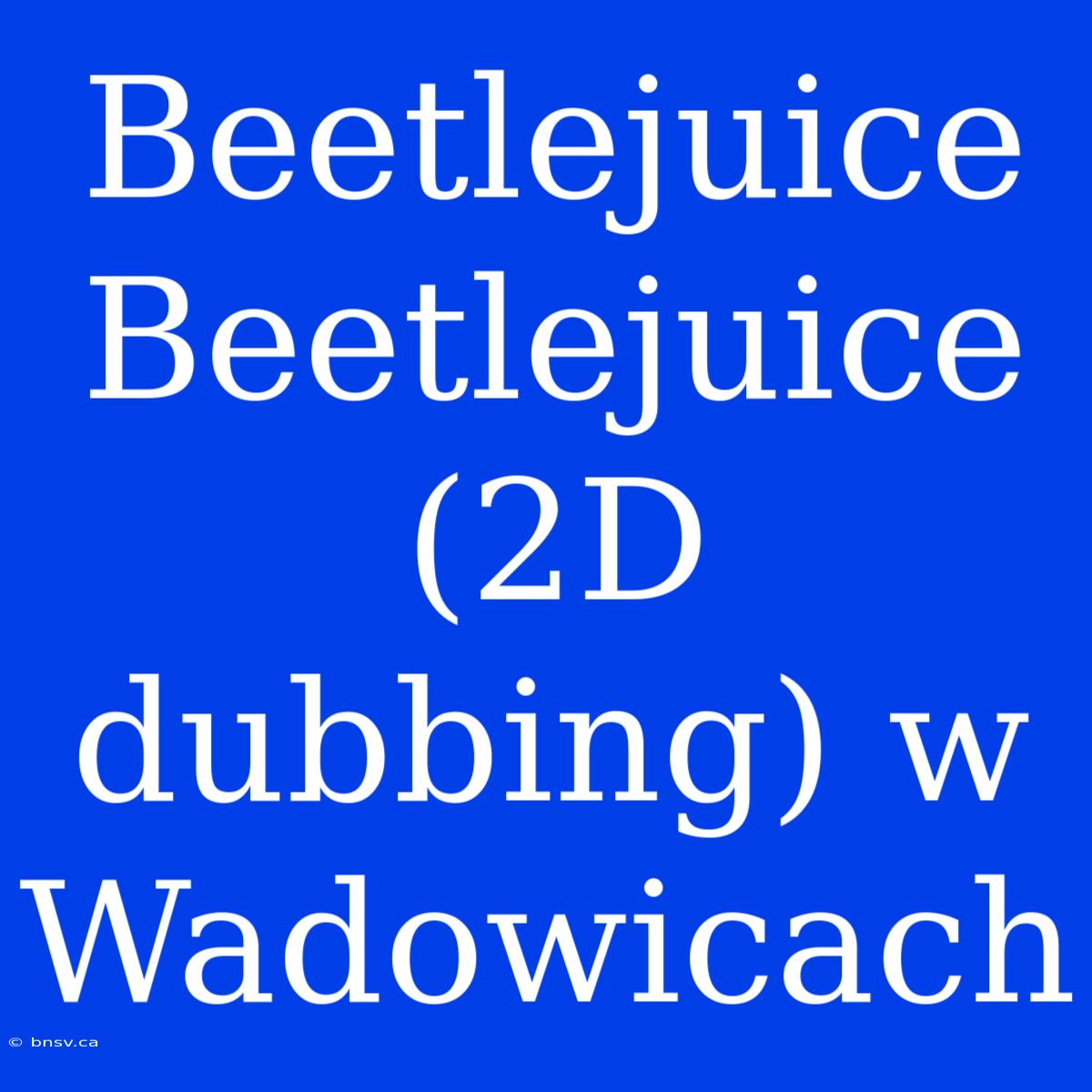 Beetlejuice Beetlejuice (2D Dubbing) W Wadowicach