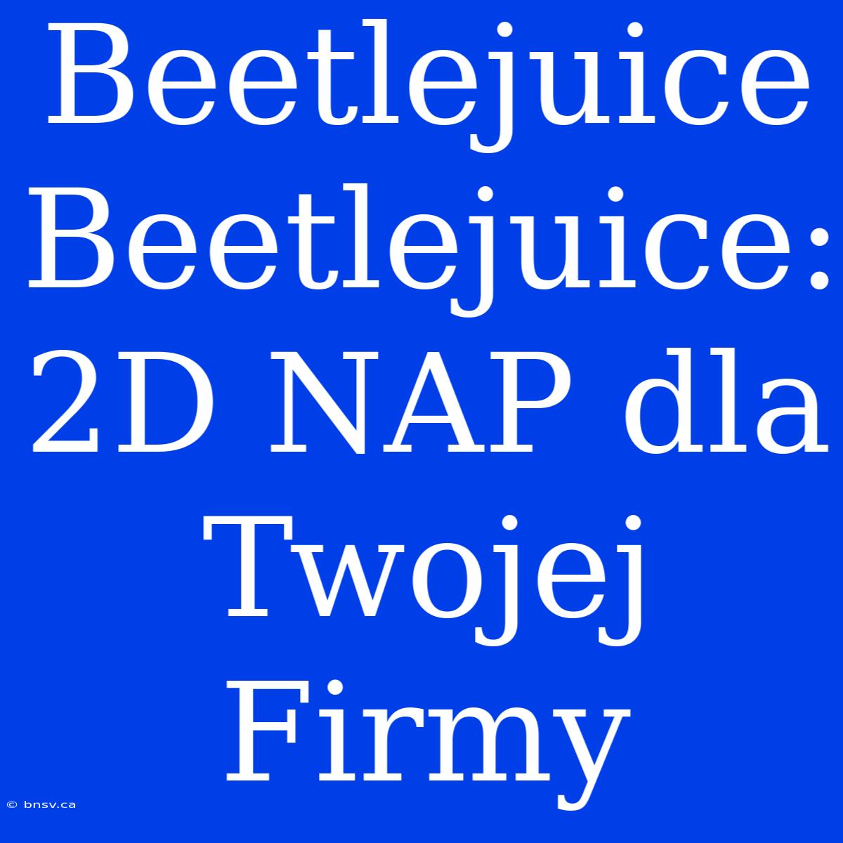 Beetlejuice Beetlejuice: 2D NAP Dla Twojej Firmy