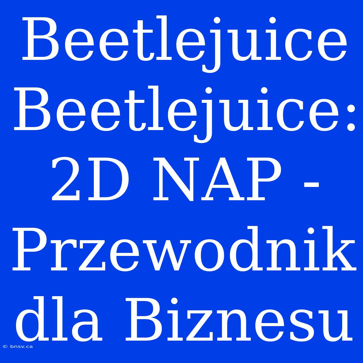 Beetlejuice Beetlejuice: 2D NAP - Przewodnik Dla Biznesu