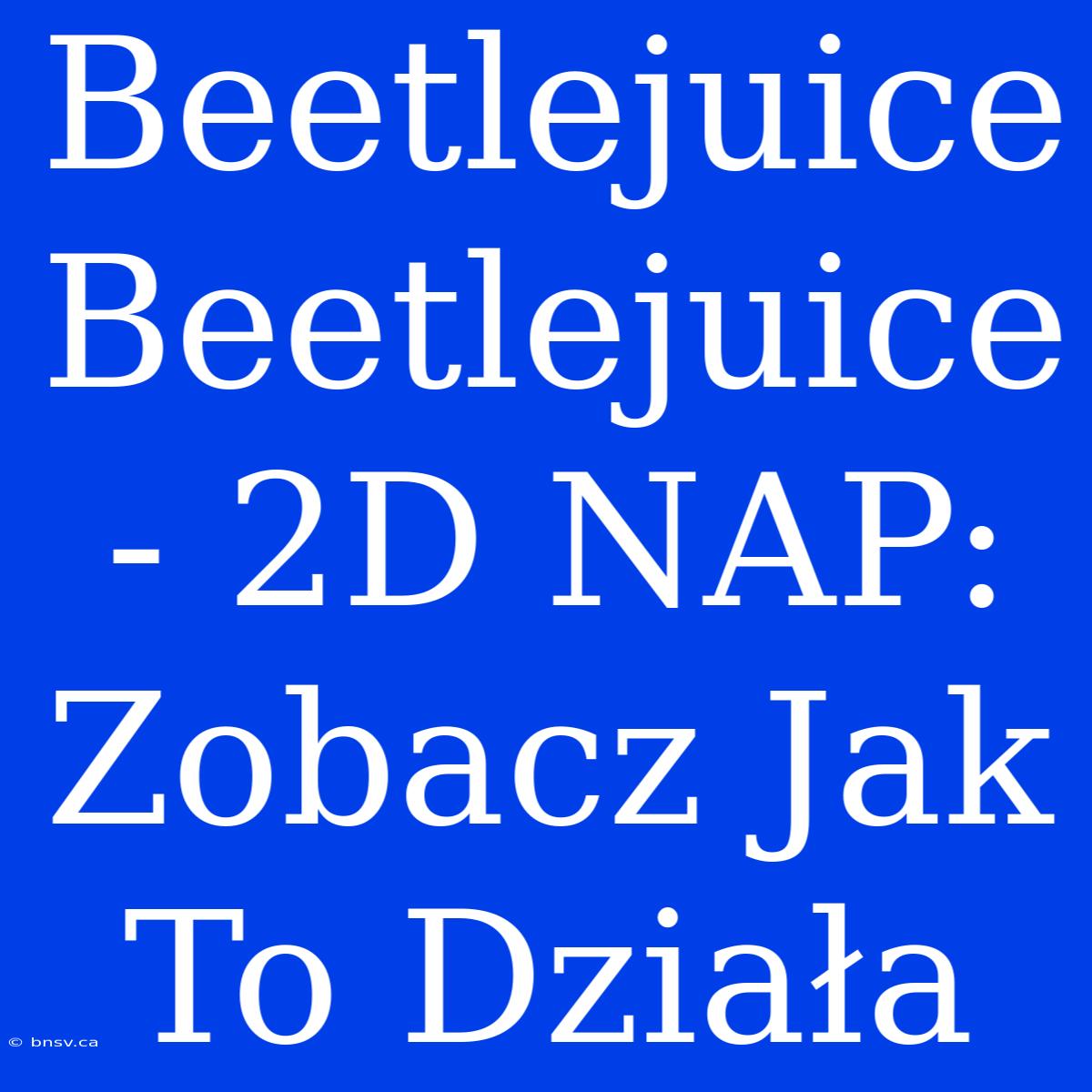 Beetlejuice Beetlejuice - 2D NAP: Zobacz Jak To Działa