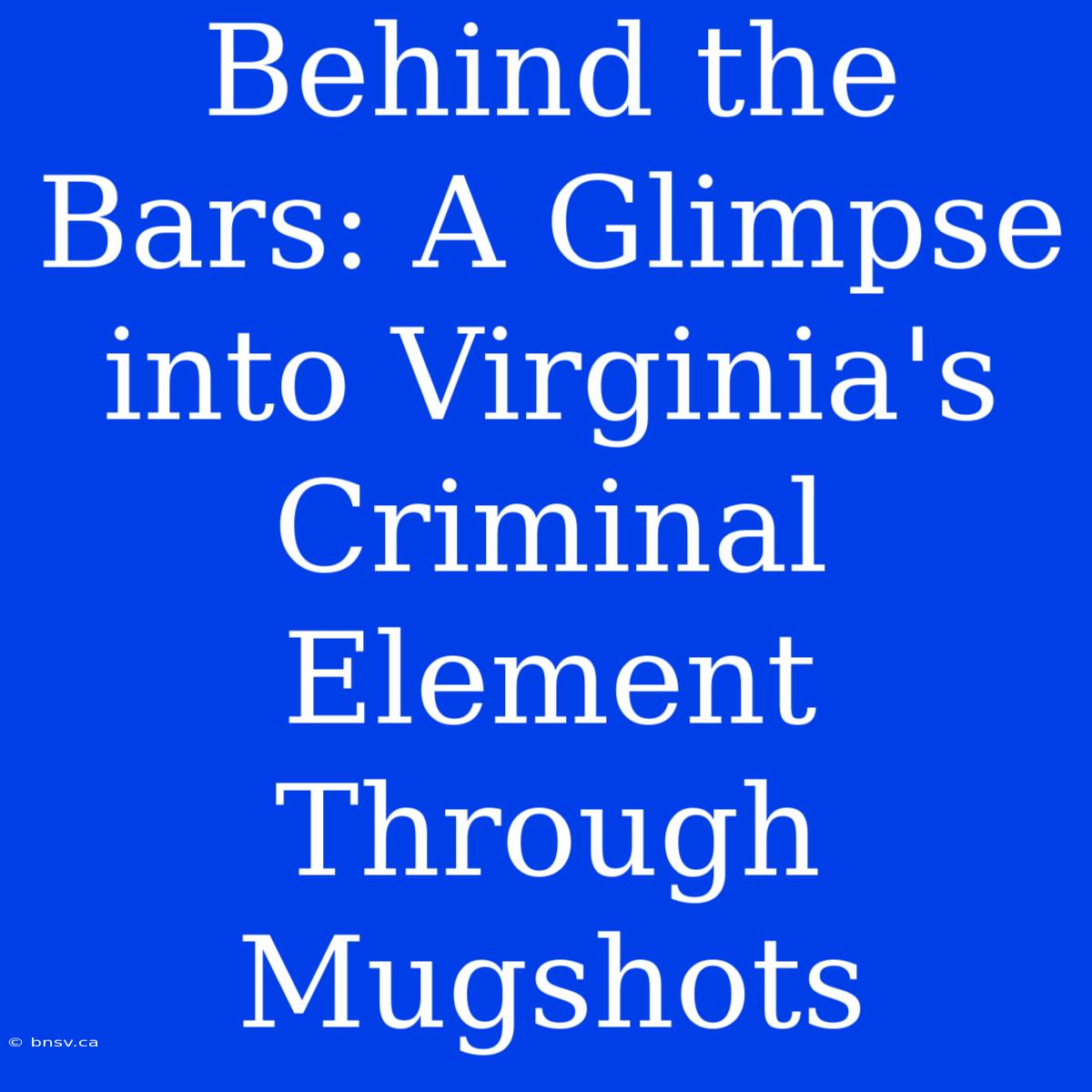 Behind The Bars: A Glimpse Into Virginia's Criminal Element Through Mugshots