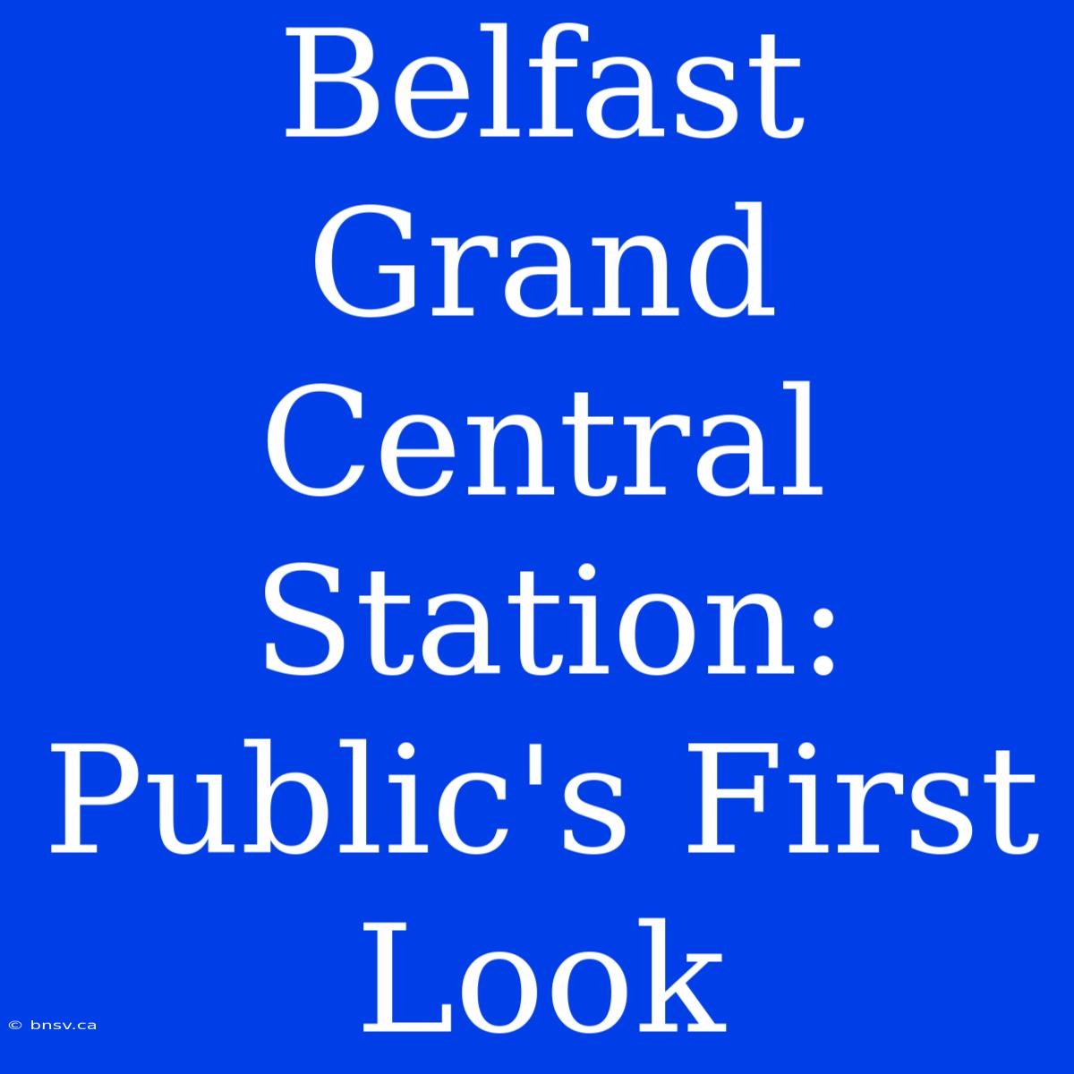 Belfast Grand Central Station: Public's First Look