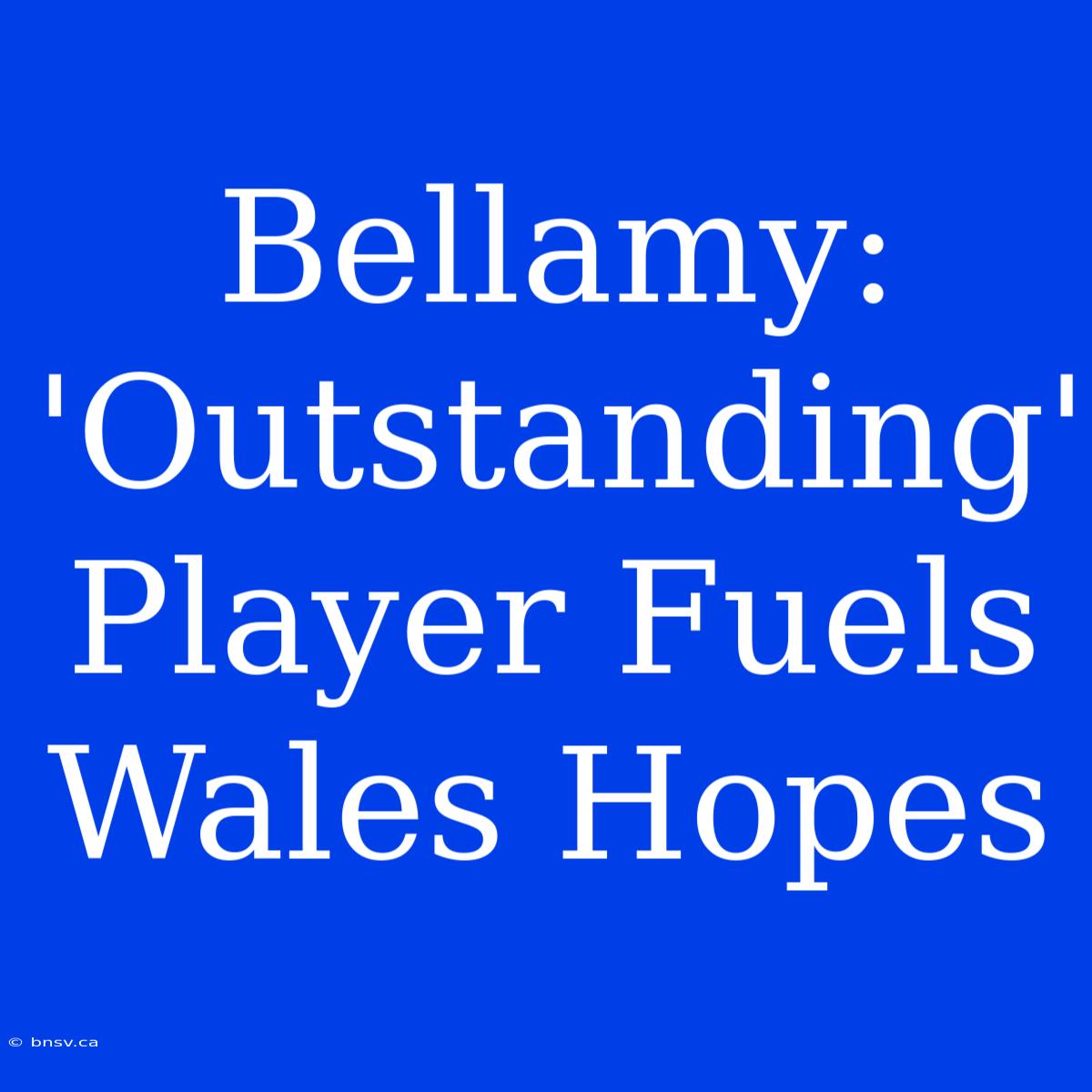 Bellamy: 'Outstanding' Player Fuels Wales Hopes