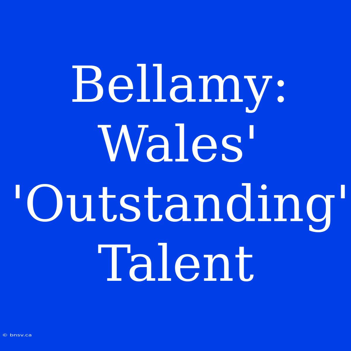 Bellamy: Wales' 'Outstanding' Talent