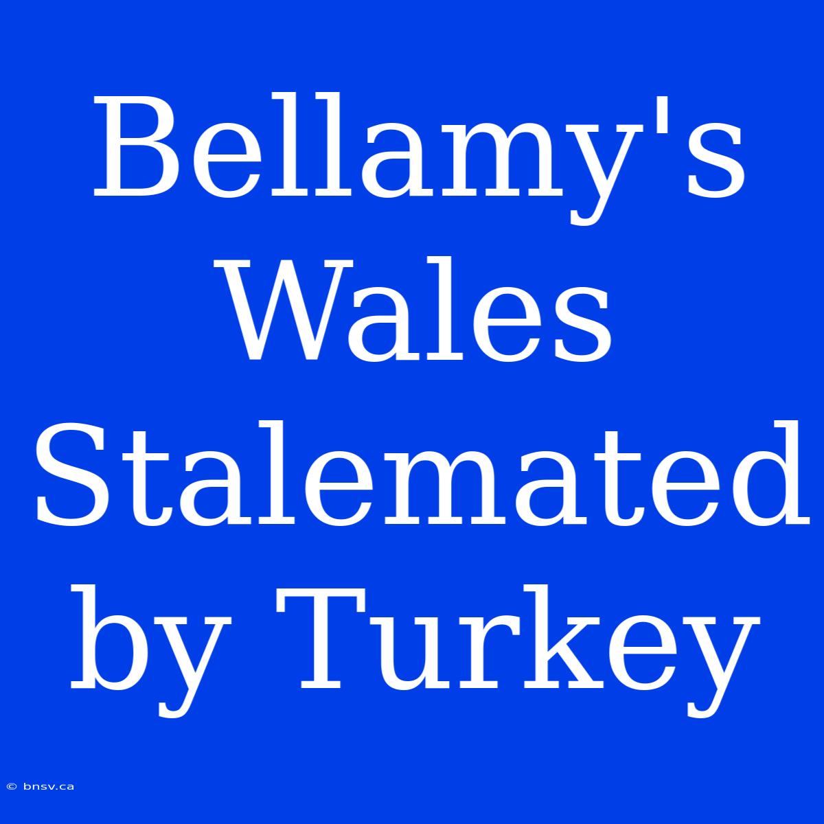 Bellamy's Wales Stalemated By Turkey