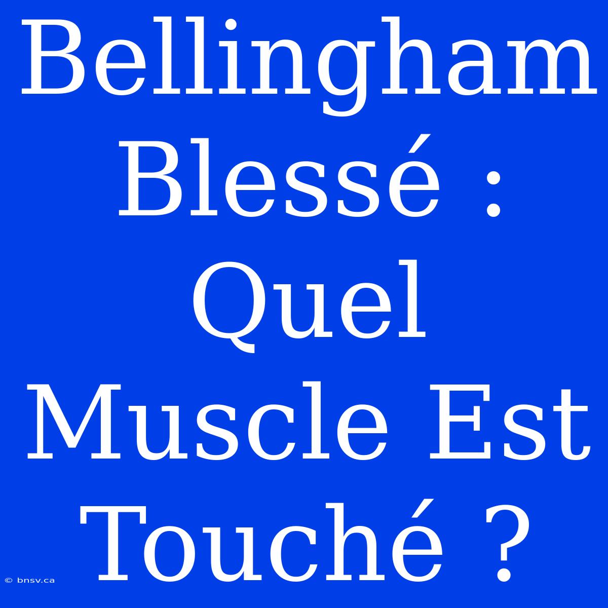 Bellingham Blessé : Quel Muscle Est Touché ?